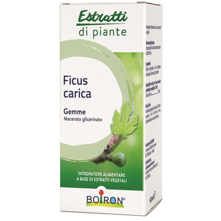 Ficus Carica Boiron Mg 60ml