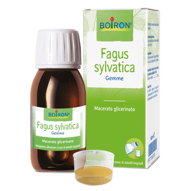 FAGUS SYLVATICA BOIRON MG 60ML