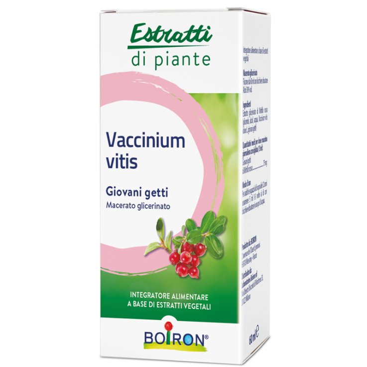 VACCINIUM VITIS MG 60ML