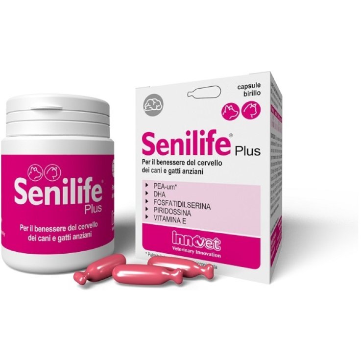 Senilife Plus 60cps