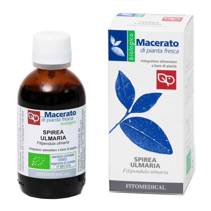 SPIREA ULMARIA TM 50ML BIO