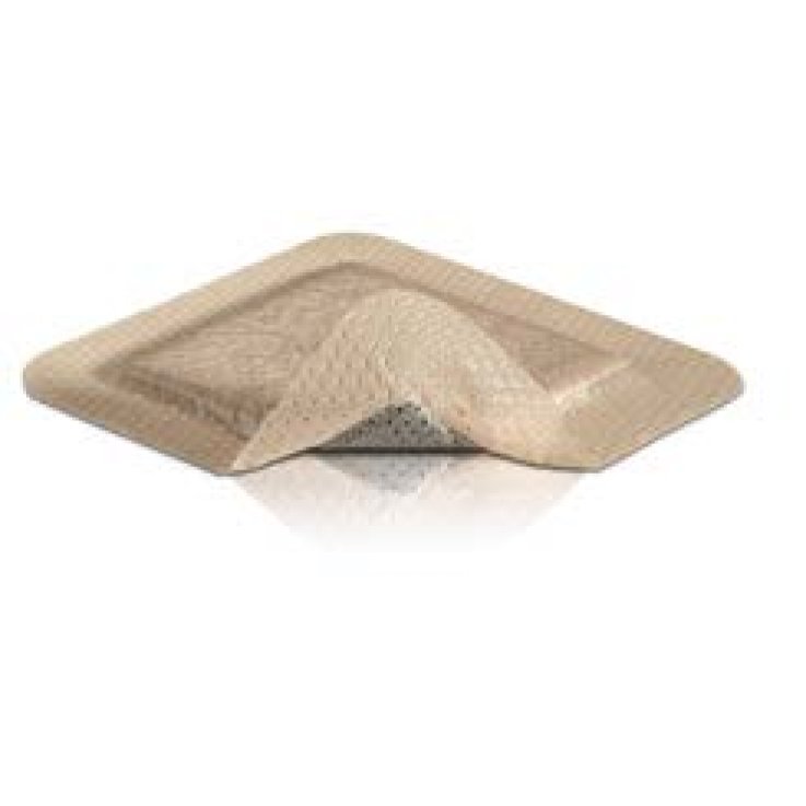 MEPILEX BORDER AG 15X15CM 5PZ