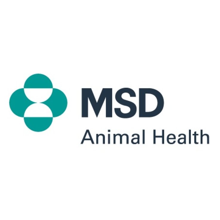 CANINSULIN VET PEN AGHI UNIFIN