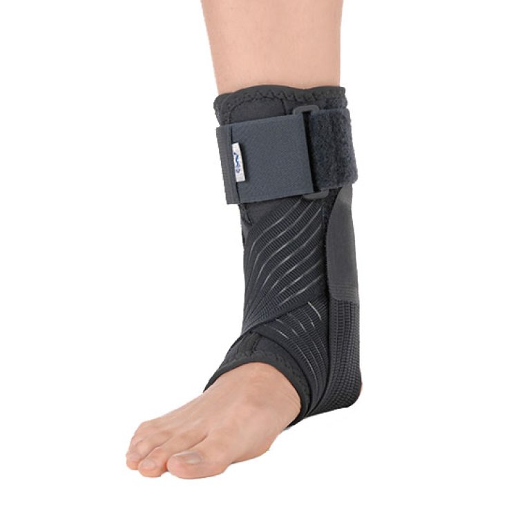 CAVIGLIERA BENDAGGIO 8 L