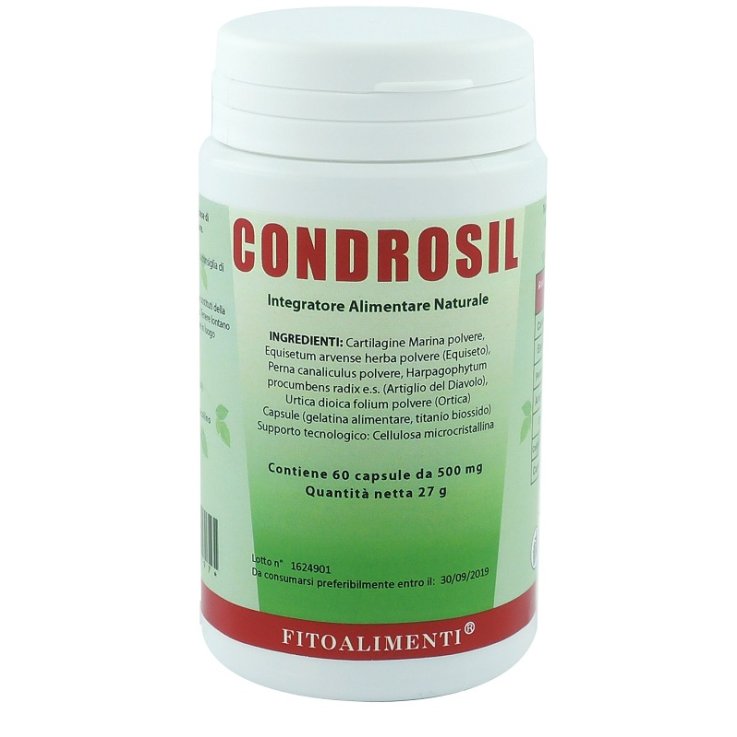 CONDROSIL 60CPS