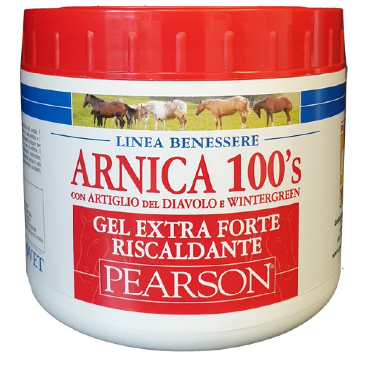 ARNICA 100'S GEL EX FT RISC500