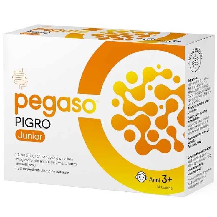 PEGASO PIGRO JUNIOR 14BUST