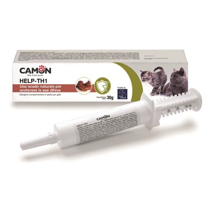 HELP-TH1 PASTA SIRINGA 30G