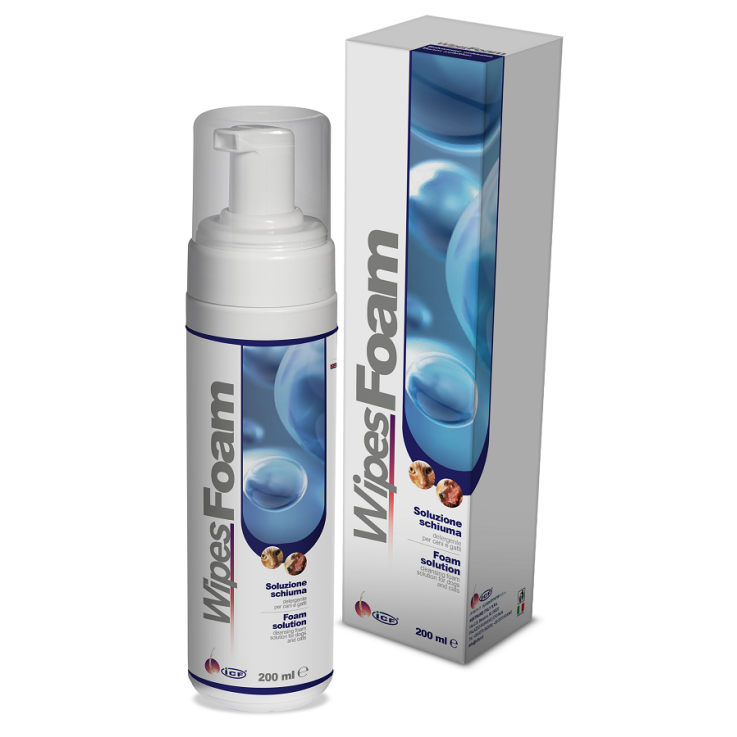 WIPES FOAM 200ML WIPES FOAM 200ML