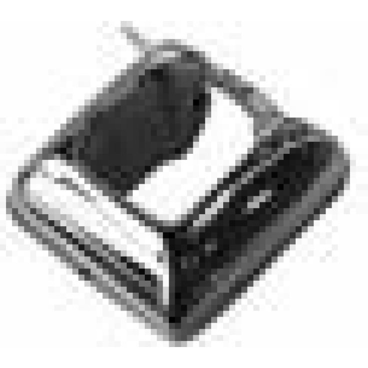 BJT311 ORECCHINI LOTUS SS