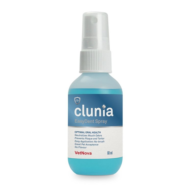 CLUNIA EASY DENT SPRAY 60ML