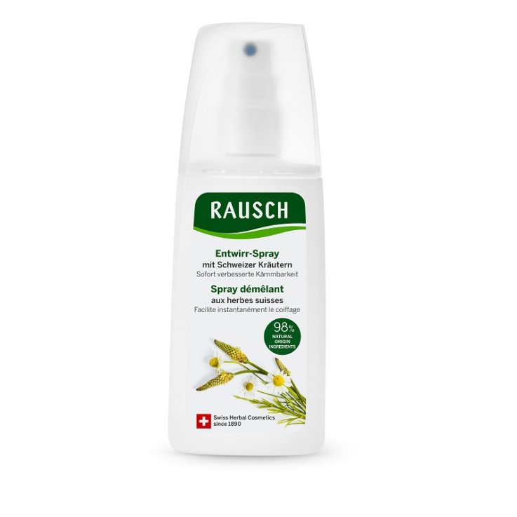 RAUSCH SPRAY DISTR ERBE S100ML