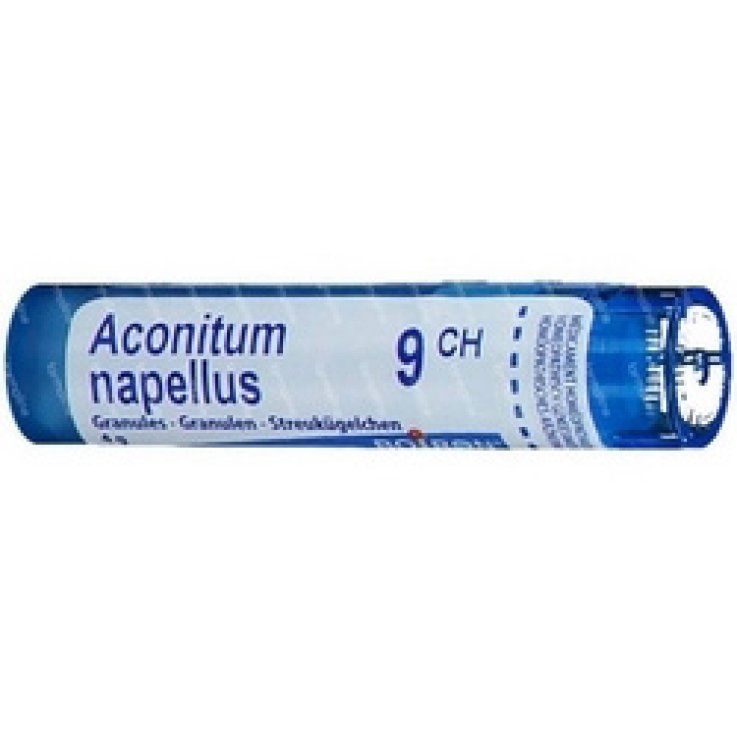 ACONITUM NAP 9CH GR 4G