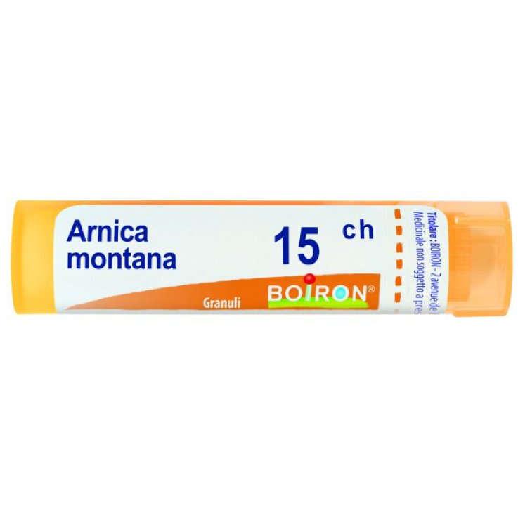 ARNICA 15CH GR 4G