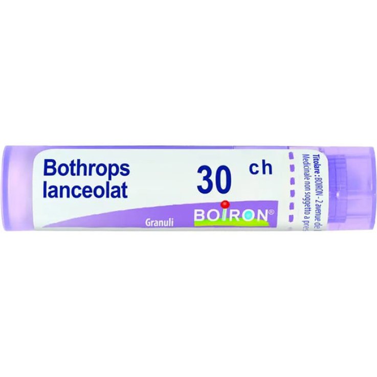 BOTHROPS LANCEOLAT 30CH GR 4G