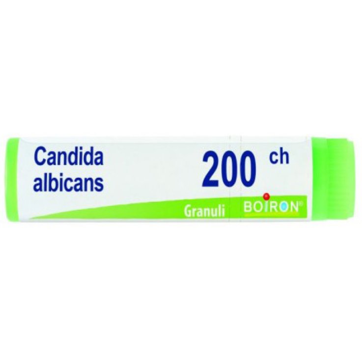 CANDIDA ALBICANS 200CH GL 1G