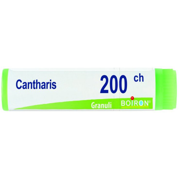 CANTHARIS 200CH GL 1G