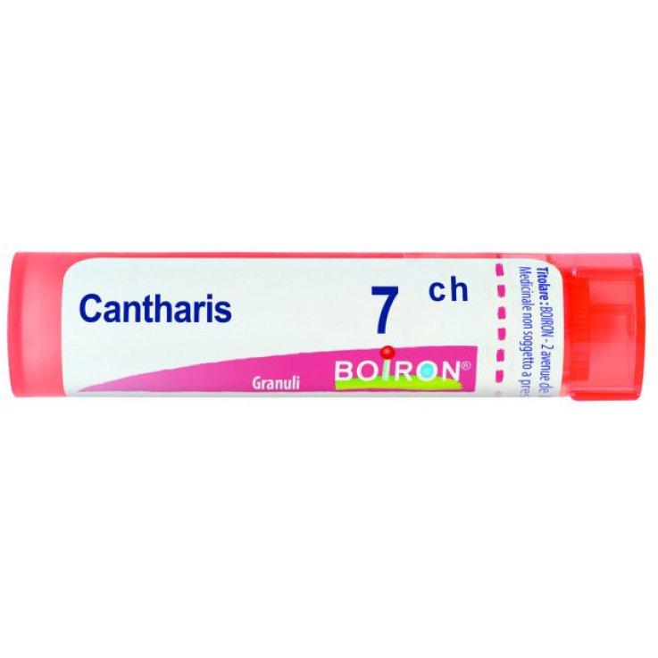 CANTHARIS 7CH GR 4G