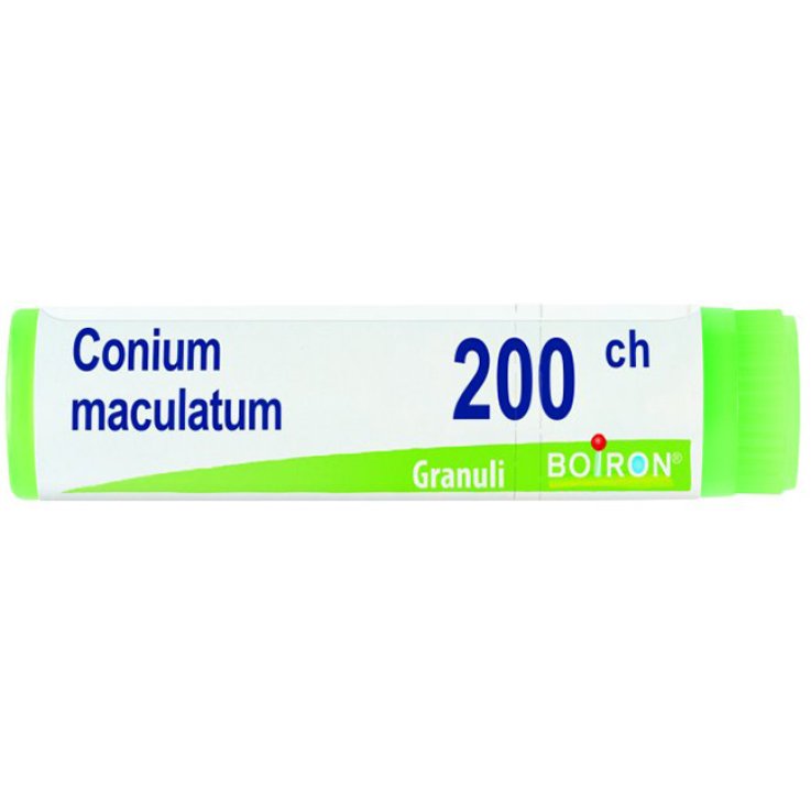 CONIUM MACULATUM 200CH GL 1G