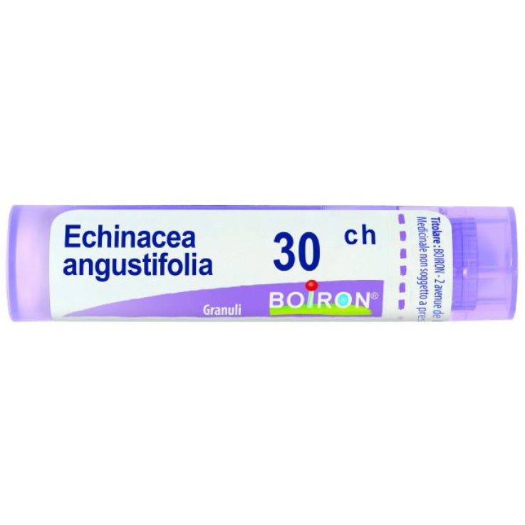 ECHINACEA ANGUST 30CH GR 4G