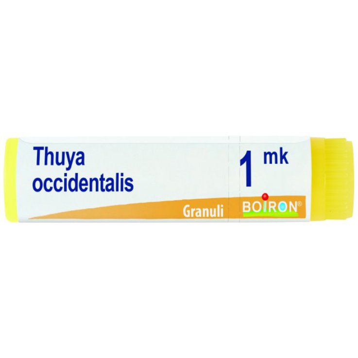 THUYA OCC MK GL 1G
