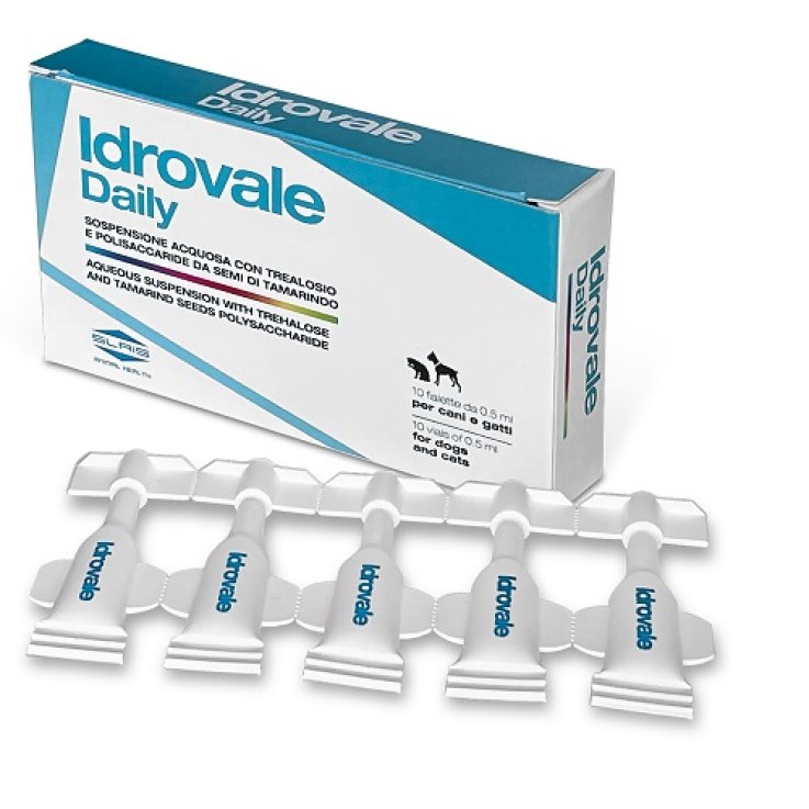 IDROVALE DAILY 10F