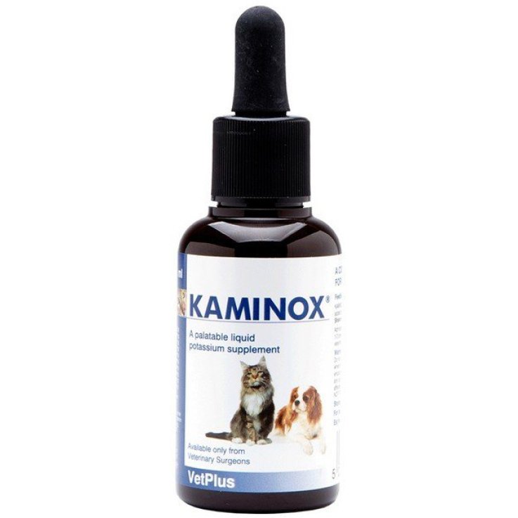 KAMINOX SCIROPPO 60ML