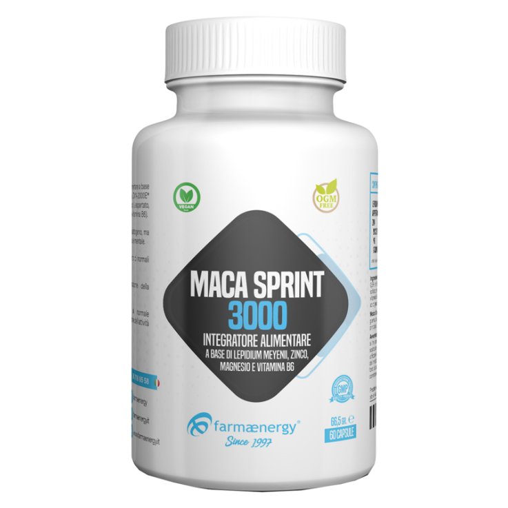 MACA SPRINT 3000 60CPS
