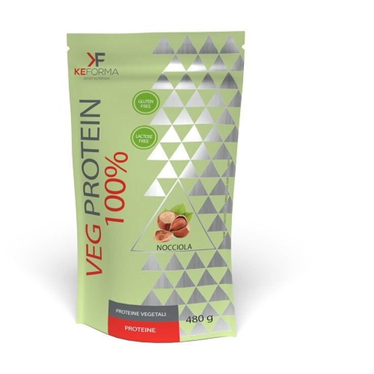 VEG PROTEIN100% NOCCIOLA 480G
