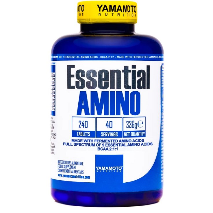 YAMAMOTO N ESSENTIAL AMI240CPR