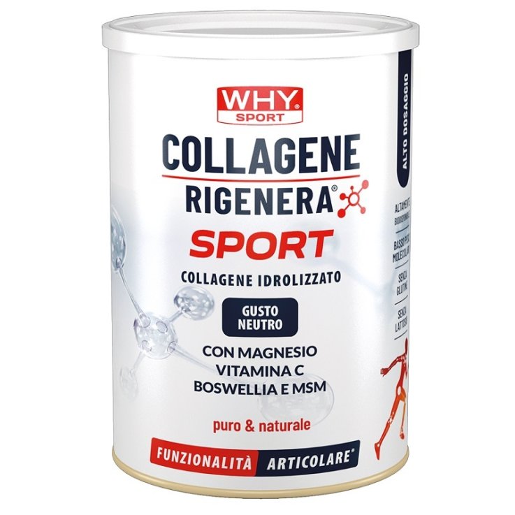 WHYSPORT COLLAG RIGEN SPORT