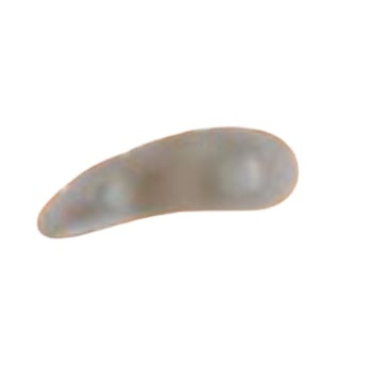 ORIONE G114 CUSC 3ANELLI DX