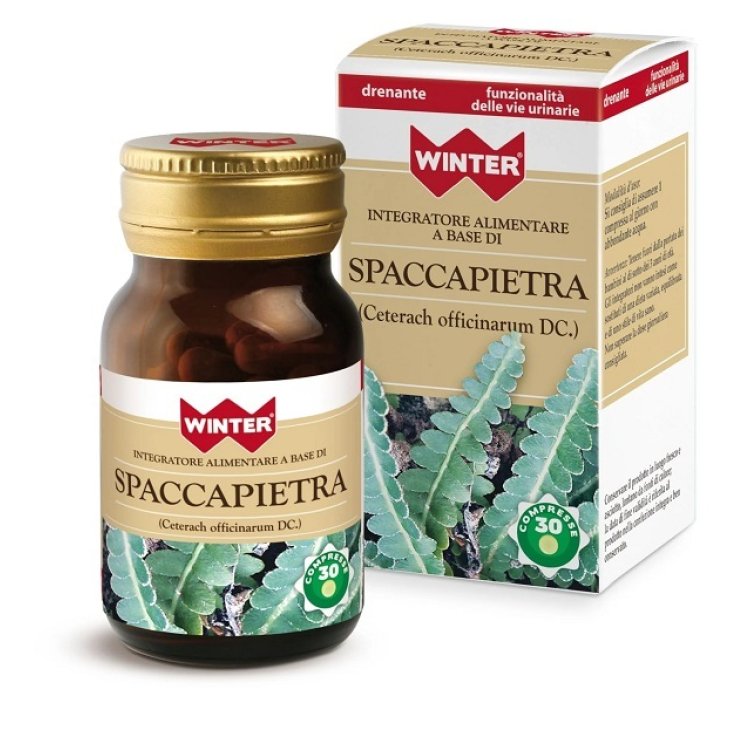 WINTER SPACCAPIETRA 30CPR