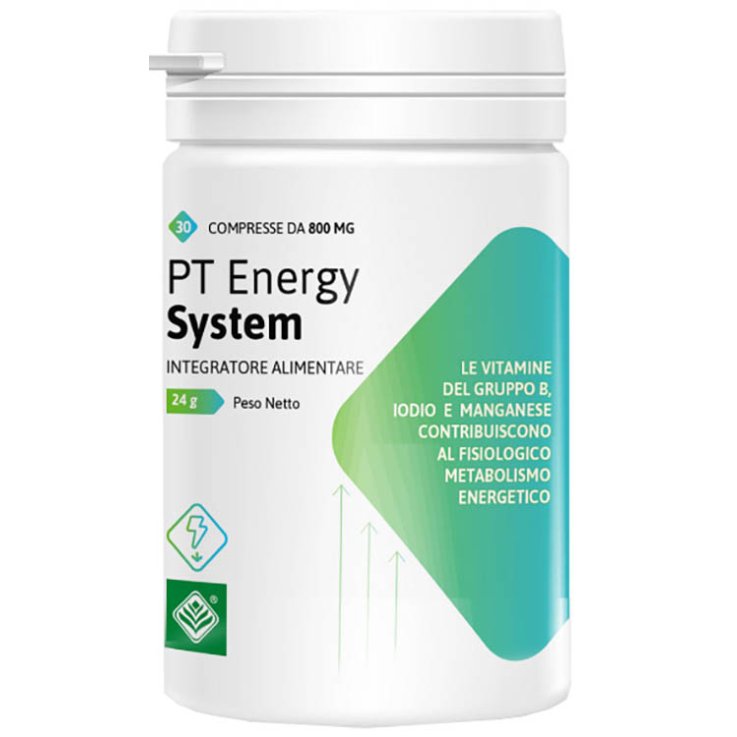 PT ENERGY SYSTEM 30CPR PT ENERGY SYSTEM 30CPR