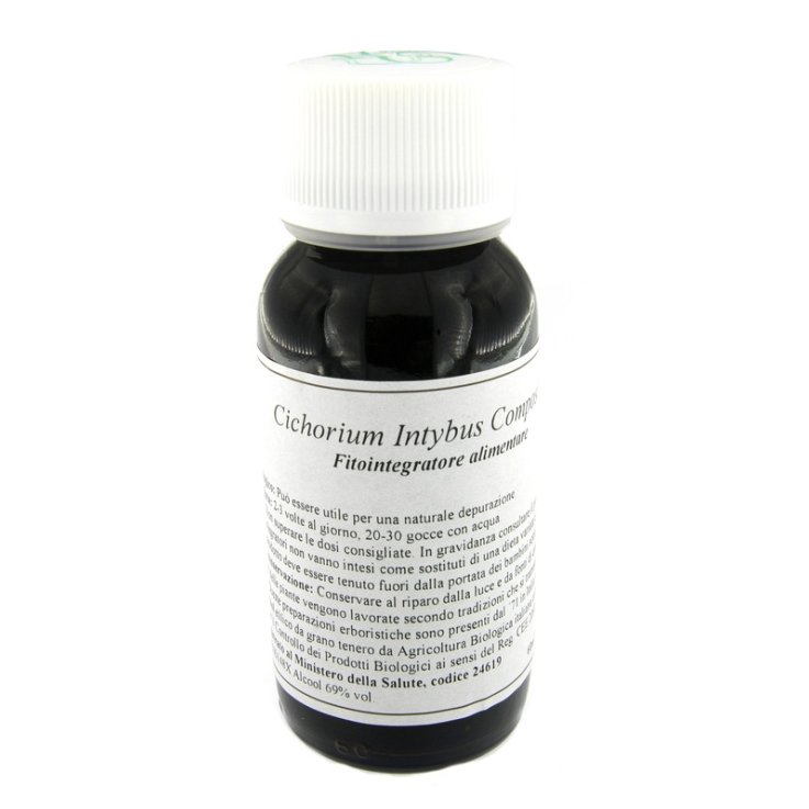 LVS 05N CICHORIUM INTYBUS COMP