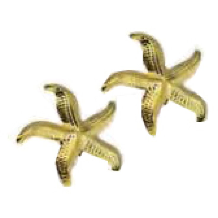 CDL OREC STELLA ACCIAIO