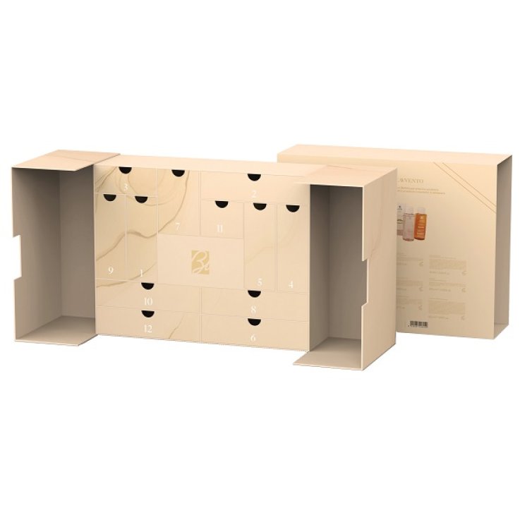 CALENDARIO DELL'AVVENTO 2025