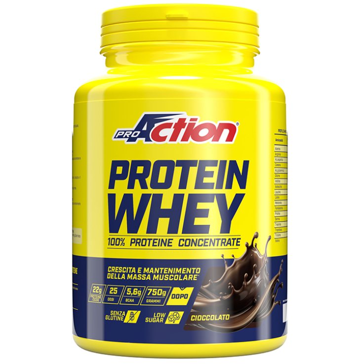 PROACTION PROT WHEY CIOC 750G