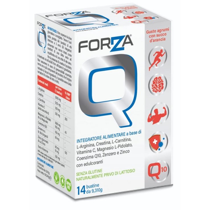 FORZA Q 14BUST