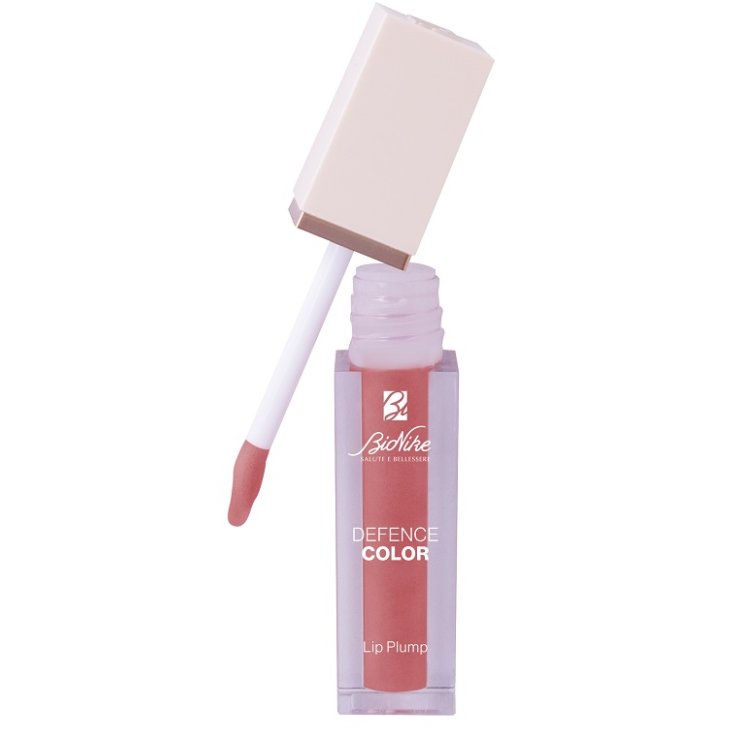 DEFENCE COLOR LIP PLUMP 05P