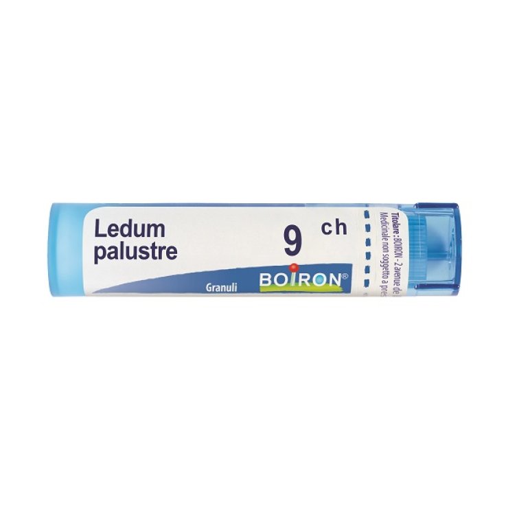 Ledum Palust 9ch Gr 4g