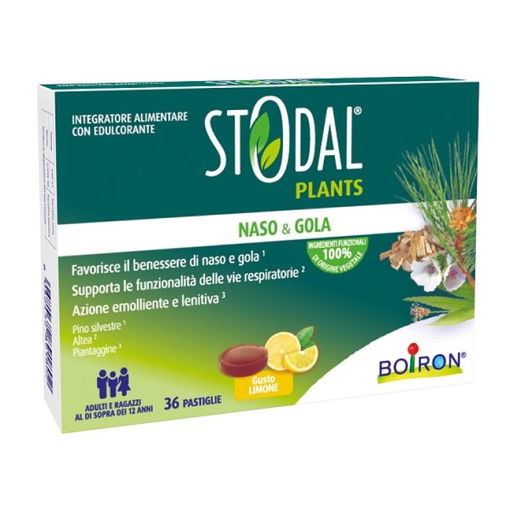 STODAL PLANTS LIMONE 36PAST STODAL PLANTS LIMONE 36PAST