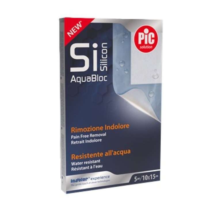 PIC SOLUTION SISILICON AQ10X15