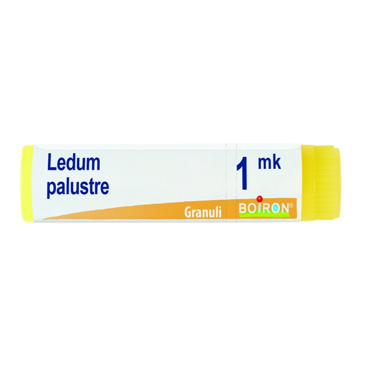 LEDUM PALUSTRE BOI*1MK GL 1G